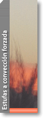 Convección forzada